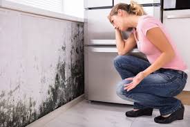 Mold Remediation for Rental Properties in Pearl, MS